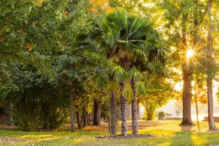 Employees of Bugatti met with the Office National des Forêts (ONF) in early 2021 to discuss reforestation to offset carbon emissions and to encourage natural habitat growth.