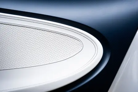 Woven leather, meticulously produced to Bugatti quality standards, adorns the door panels of the ultimate roadster. ​